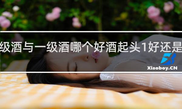 优级酒与一级酒哪个好酒起头1好还是2开头好