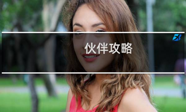 伙伴攻略