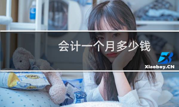 会计一个月多少钱?