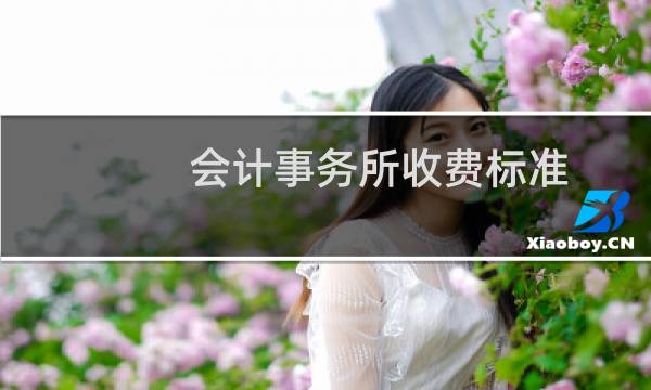 会计事务所收费标准