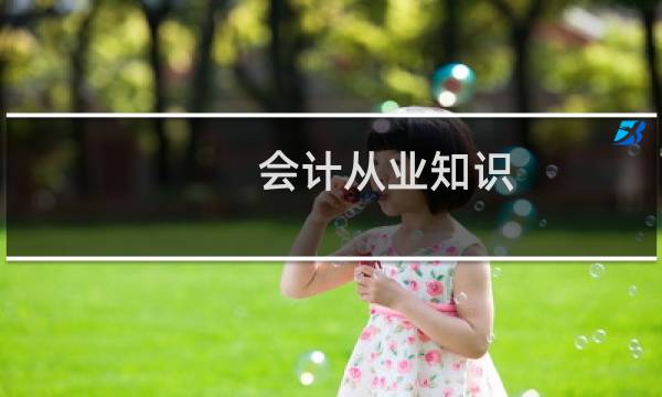 会计从业知识