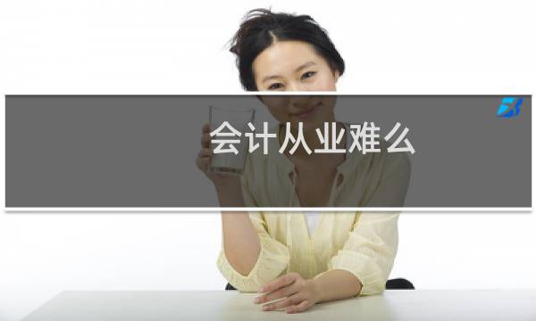 会计从业难么