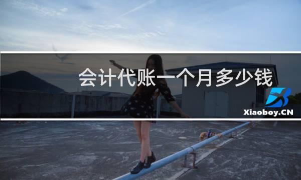 会计代账一个月多少钱