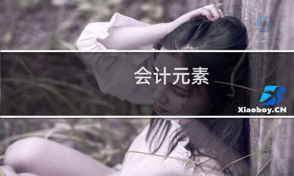 会计元素