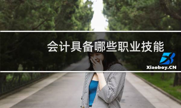 会计具备哪些职业技能