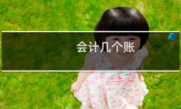 会计几个账