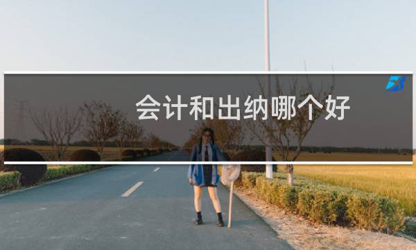 会计和出纳哪个好