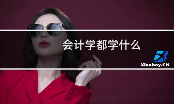 会计学都学什么