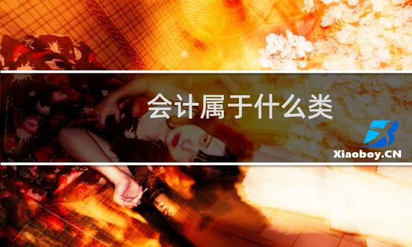 会计属于什么类