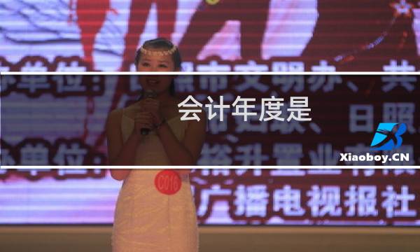 会计年度是