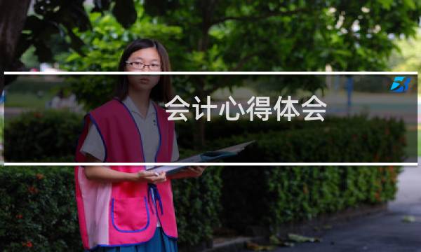 会计心得体会