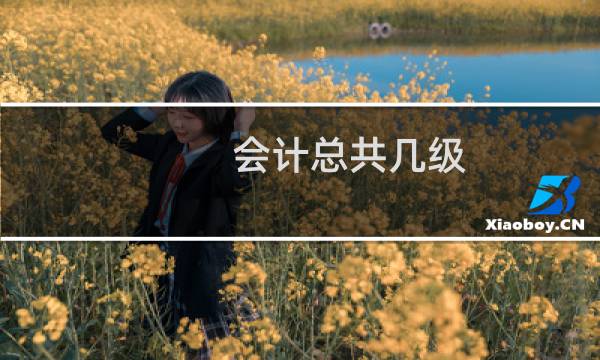会计总共几级