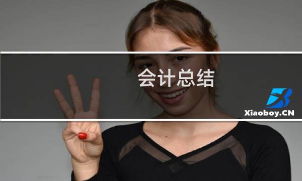 会计总结
