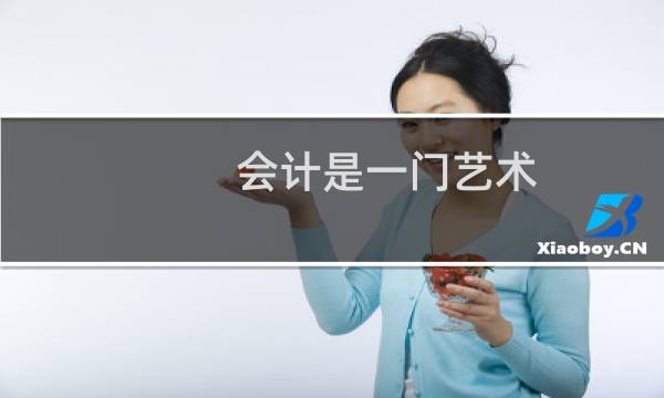 会计是一门艺术
