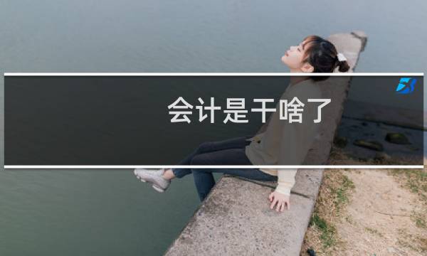 会计是干啥了
