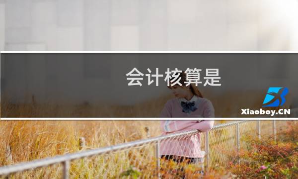 会计核算是