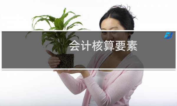 会计核算要素