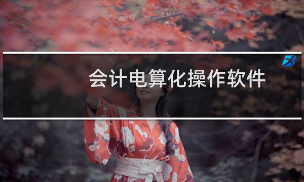 会计电算化操作软件