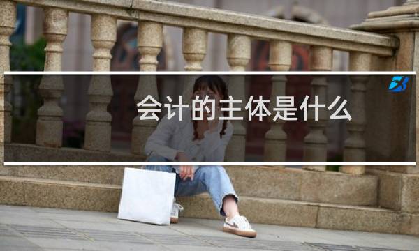 会计的主体是什么
