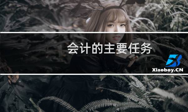 会计的主要任务