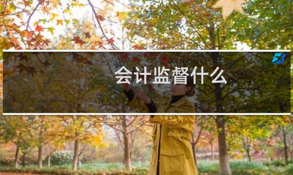 会计监督什么