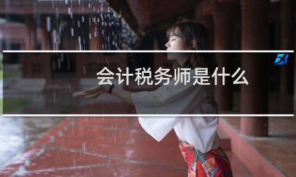 会计税务师是什么