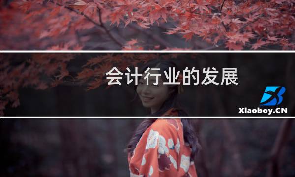 会计行业的发展