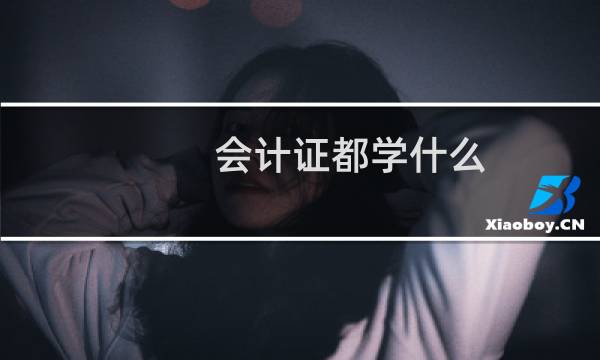 会计证都学什么