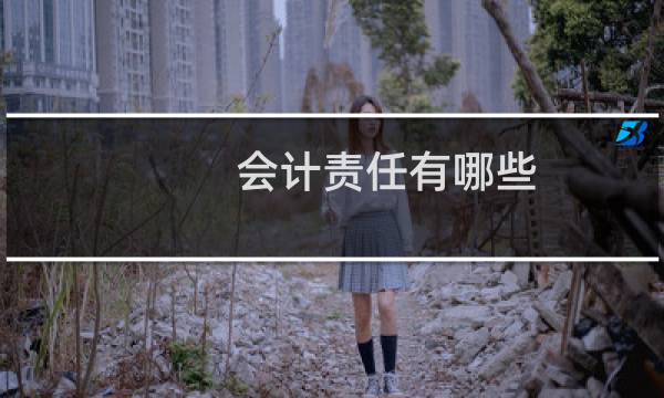 会计责任有哪些