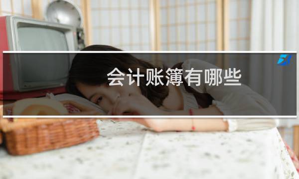 会计账簿有哪些