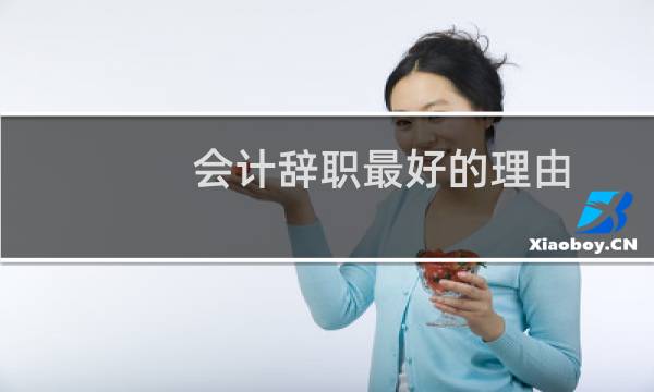 会计辞职最好的理由