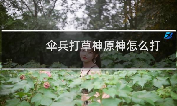 伞兵打草神原神怎么打