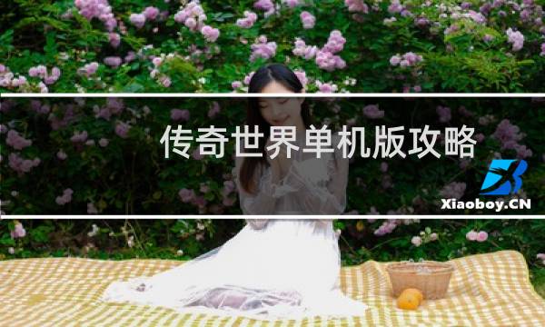 传奇世界单机版攻略