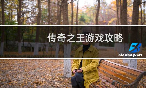 传奇之王游戏攻略