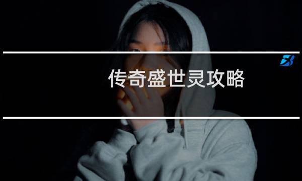 传奇盛世灵攻略