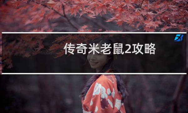 传奇米老鼠2攻略