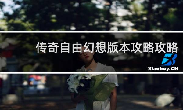 传奇自由幻想版本攻略攻略