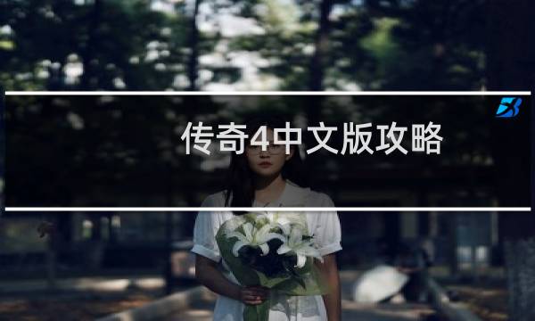 传奇4中文版攻略