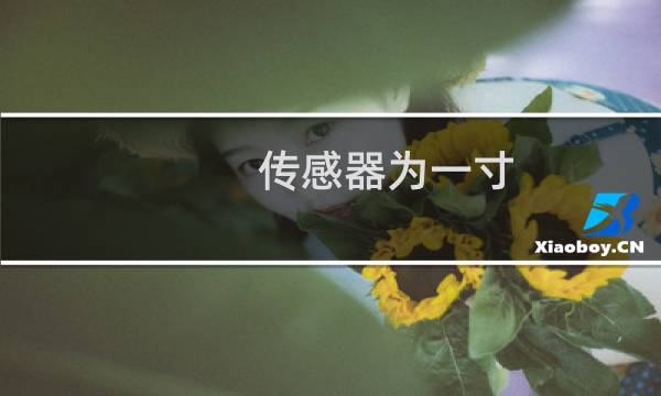 传感器为一寸