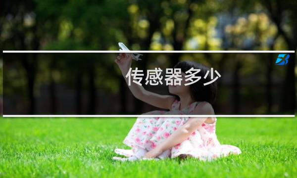 传感器多少