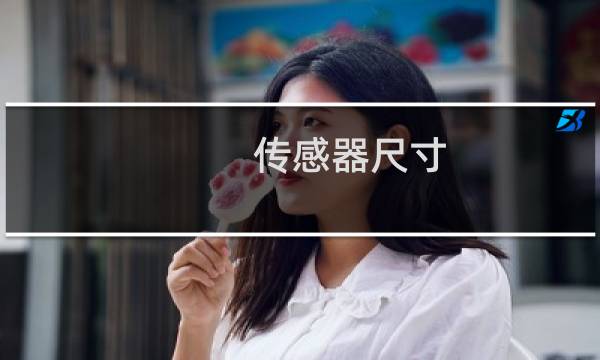 传感器尺寸 半幅