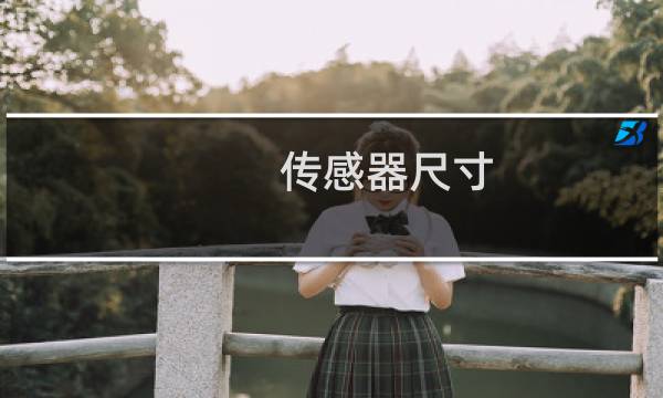 传感器尺寸 1英寸