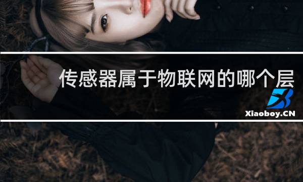 传感器属于物联网的哪个层