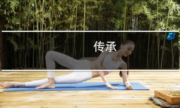 传承 成语