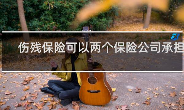 伤残保险可以两个保险公司承担吗