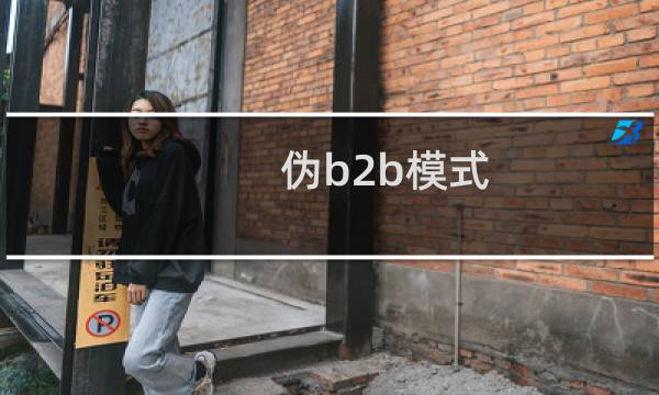 伪b2b模式