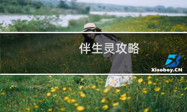 伴生灵攻略