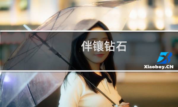 伴镶钻石 价格
