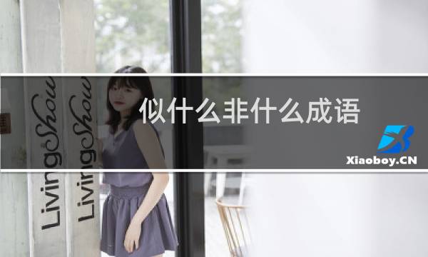 似什么非什么成语
