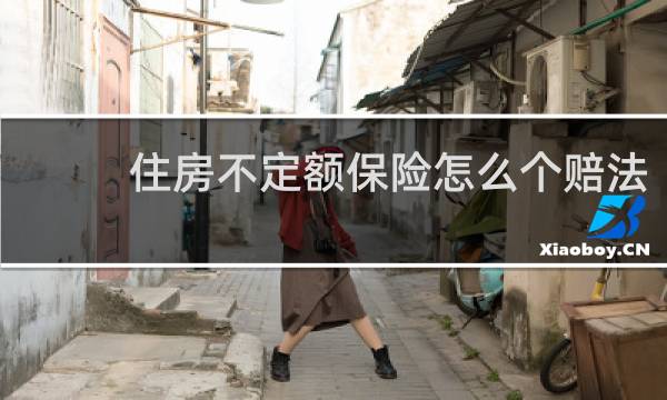 住房不定额保险怎么个赔法